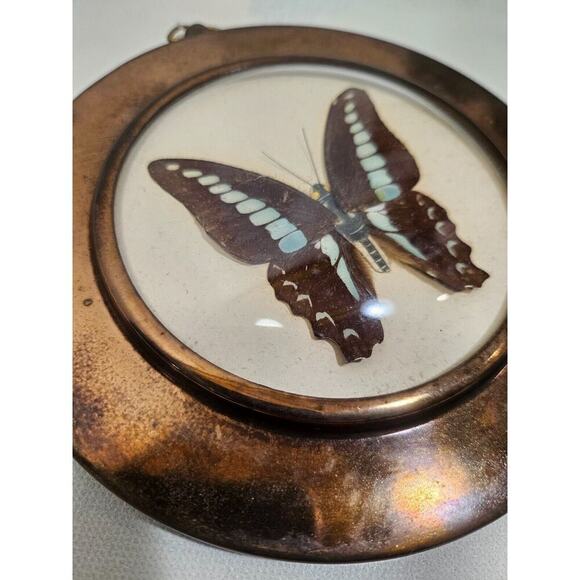 Vintage Retro Pressed Butterfly copper wall hanging piece made in Japan - Picture 3 of 6